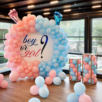 Dreamy Baby Gender Reveal Decoration